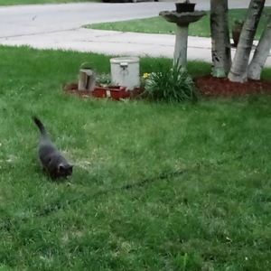 Meet your Posher, Jodie